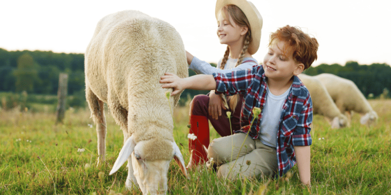 Welches Haustier passt zu deinem Kind?